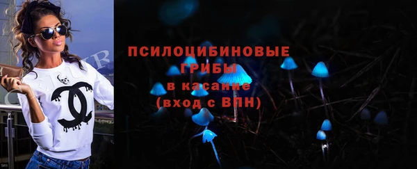 тгк Алексин