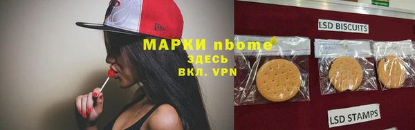 тгк Алексин