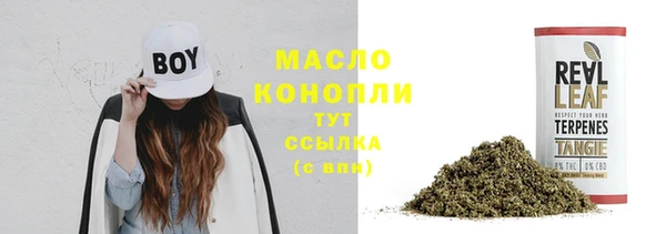 тгк Алексин