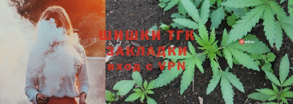 тгк Алексин