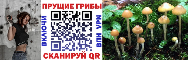 Галлюциногенные грибы ЛСД  Котельники 