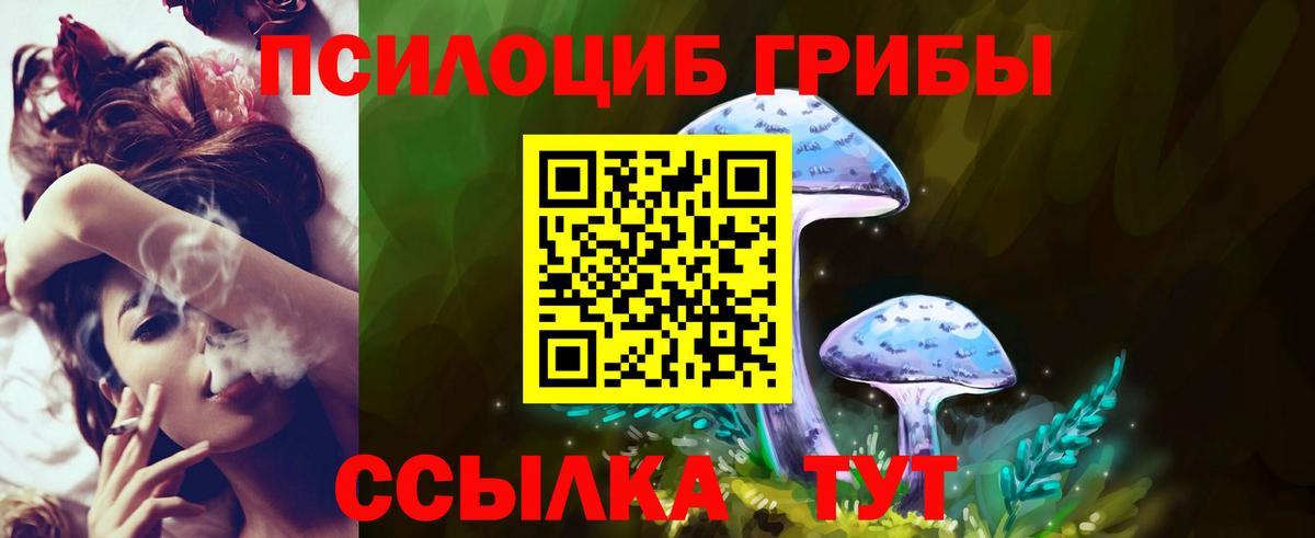Котельники  Галлюциногенные грибы Psilocybe  Псилоцибиновые грибы Cubensis  Вход с VPN 